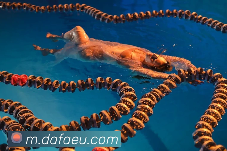 App Interface Preview